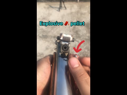 Airgun explosive pellet shooting #shorts | Explosive airgun pellet | airgun hunting in bangladesh