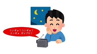 【ベリカード】北朝鮮から郵便物が届きました！【朝鮮の声放送】