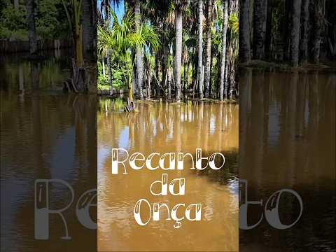 Conheça mais um pedacinho da natureza viva em #CruzeiroDoSul #acre
