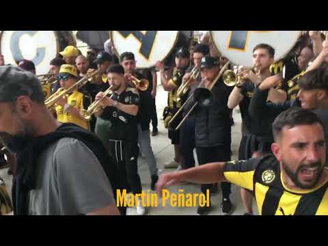 "Entrada de la Percusión- Hinchada de Peñarol (vs naciomal)" Barra: Barra Amsterdam &bull; Club: Peñarol &bull; País: Uruguay