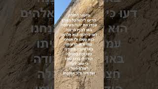 מזמור לתודה רק להיום #music #singel #song #coversong #spotify (הזמר והיוצר שיאון יפת) - התמונה מוצגת ישירות מתוך אתר האינטרנט יוטיוב. זכויות היוצרים בתמונה שייכות ליוצרה. קישור קרדיט למקור התוכן נמצא בתוך דף הסרטון