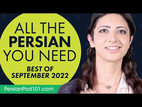 Your Monthly Dose of Persian - Best of September 2022