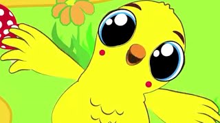 O Pintinho Piu + outras 10 musicas infantis com letra karaokê - 23 minutos