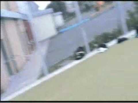 download lagu mp3 mp4 Talkceltic, download lagu Talkceltic gratis, unduh video klip Talkceltic