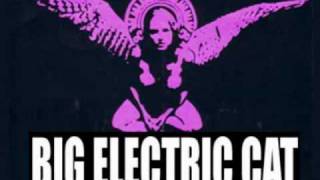 Big Electric Cat-Splinters