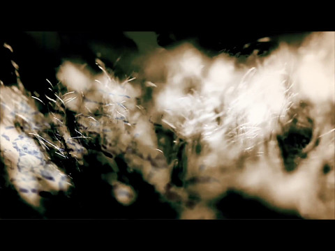 Jakob Seidensticker, Boronas, SNAD_The Big Day_Pleasure Zone