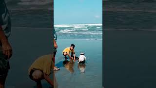 Download lagu pantai Parangtritis yogyakarta mp3