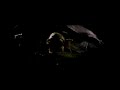 Aliens Vs Predator Requiem 2007 Japanese TV Spot 2 New Species
