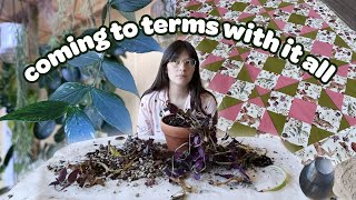 VLOG | repotting and cleaning plant chores, finishing a quilt top, and life chat!
