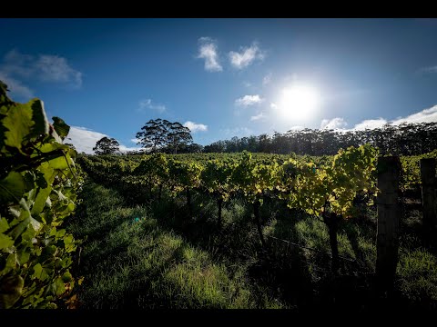 Rockcliffe Winery
