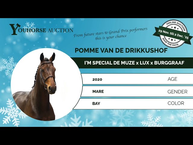 Pomme van de Drikkushof try out with 12 years old girl