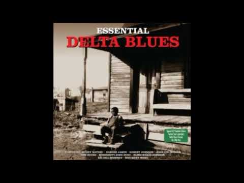 Essential Delta Blues 1928 - 1948 - 1955 . Two Disc Set