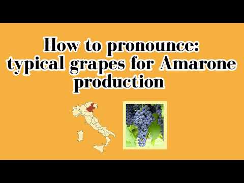 How to pronounce typical grapes for Amarone production