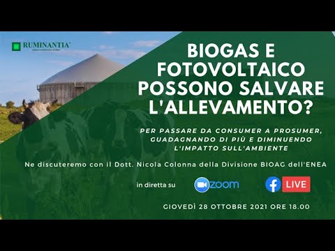 , title : 'Biogas e fotovoltaico possono salvare l'allevamento?'