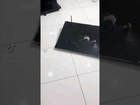 Sasha Breaks Ghost Hlubi's Tv