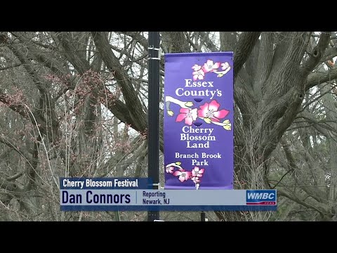 NJ Newark Cherry Blossom Festival