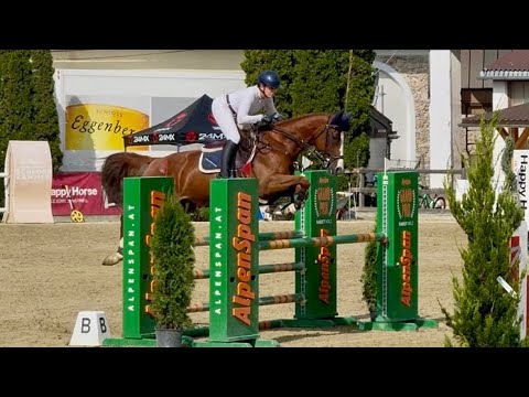OGANA BLUE (6yo Ogano Sitte) 28.08.25 CSN-A Kammer-Schörfling - 🥇 YH 115 cm