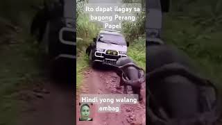 Download lagu #viralvideo #viralshorts #trending #trendingshorts #highlights #everyone #carabao #trend #shorts mp3 Download lagu #viralvideo #viralshorts #trending #trendingshorts #highlights #everyone #carabao #trend #shorts mp3