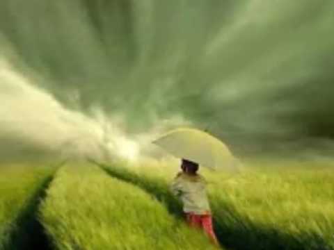 Stare Dobre Małżeństwo - Szczęście