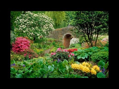 Tend My Garden-Joe Walsh & the James Gang