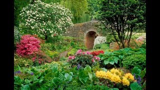 Tend My Garden-Joe Walsh &amp; the James Gang