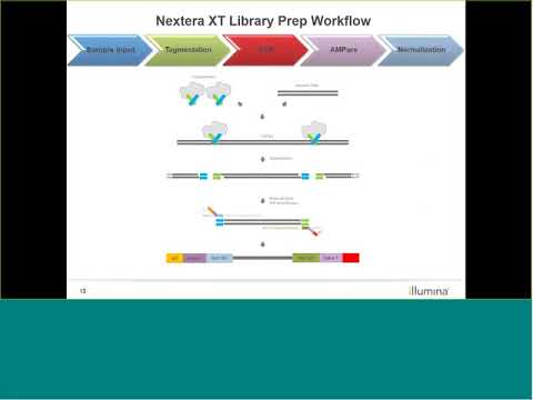 Learn with Illumina: Nextera XT Sample Preparation and Usage