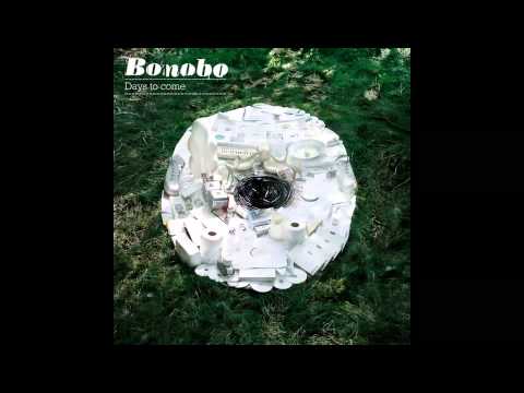 Bonobo - If You Stayed Over (feat. Fink)