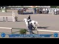 VENDITA o AFFITTO PONY per cat.Brevetti