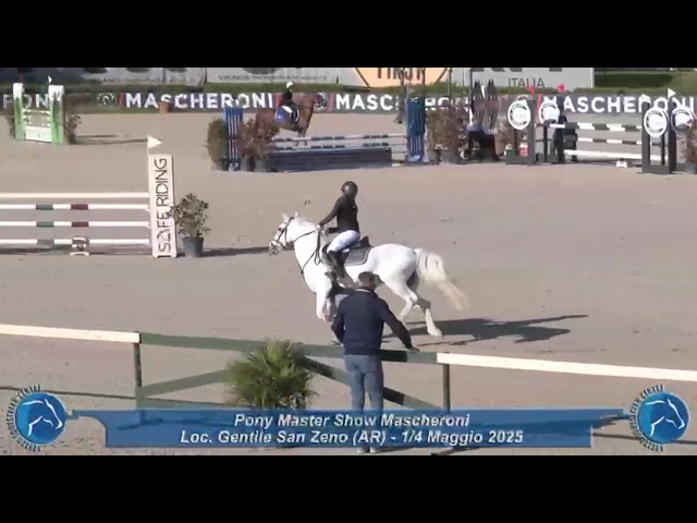 VENDITA o AFFITTO PONY per cat.Brevetti