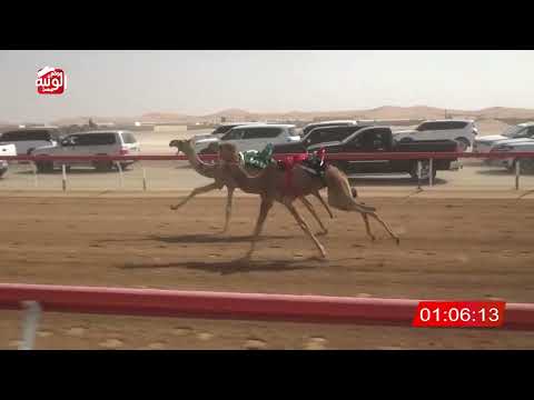  ش 1 (شناح) لـ محمد سالم بن مكتوم الجنيبي 2:07 , شارة الصندوق 2026/2/07 فطامين الروضة