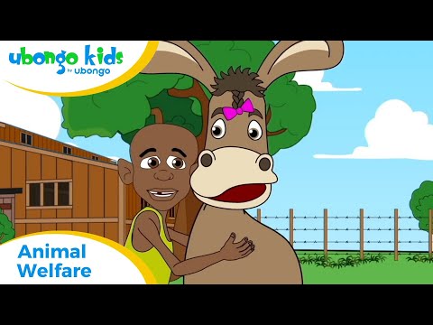EPISODE 50: Animal Welfare | Ubongo Kids | African Educational Cartoons
