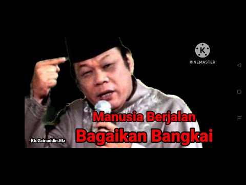 Ketika Manusia Berjalan Seperti Bangkai