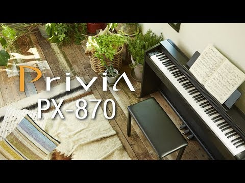 Casio Privia PX-870 Digital Piano