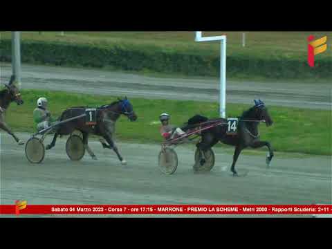 VII Corsa del 4 Marzo 2023   5 Anni ed oltre   Metri 2000