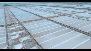 Tamil Nadu Salt Corporation Limited | Corporate film | Tamil