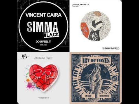 FUNKY HOUSE MIX - Stardust, Disco Junkie, Junior Jack und weitere