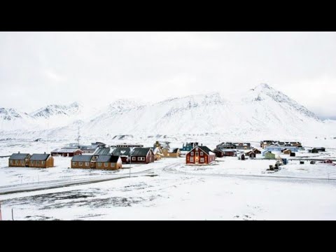 Polar bears and freezing temperatures — Arctic photographer Ana Filipova describes the perils