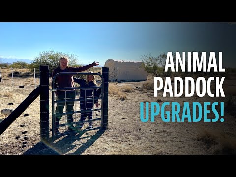 Electric Fence: Will it keep our pigs in?