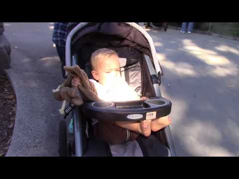 SD Zoo - 2017.11.02 Zoo time41