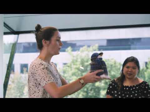 PizzIMMERSION Instructional Video - Roller coaster ride