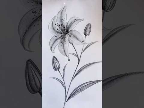 Pencil sketch of flower।। #art #sketch #pencildrawing #drawing #badshah #terikasam