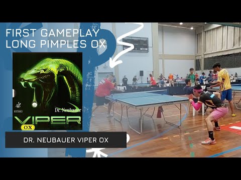 Dr. Neubauer Viper Ox - Long Pimples Close to the table