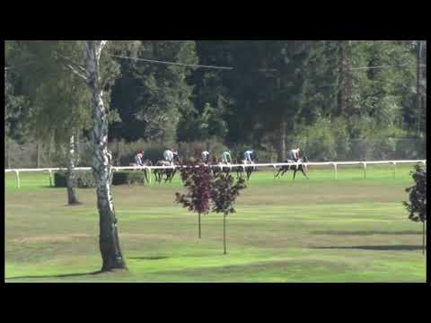 KV, 18. 8. 2019, 5. dostih - 2. Cena společnosti LOKOTRANS