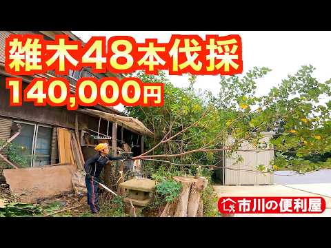 アリを苗木から遠ざけるにはどうすればよいですか？彼らが自然に撃退するための、彼らが最も嫌がる5つの製品をご紹介します。  庭園