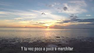 Ricky Martin &quot;Perdoname&quot; con letras