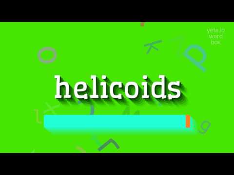 HOW TO SAY HELICOIDS? #helicoids