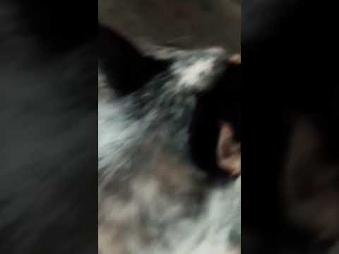 why is that actually true