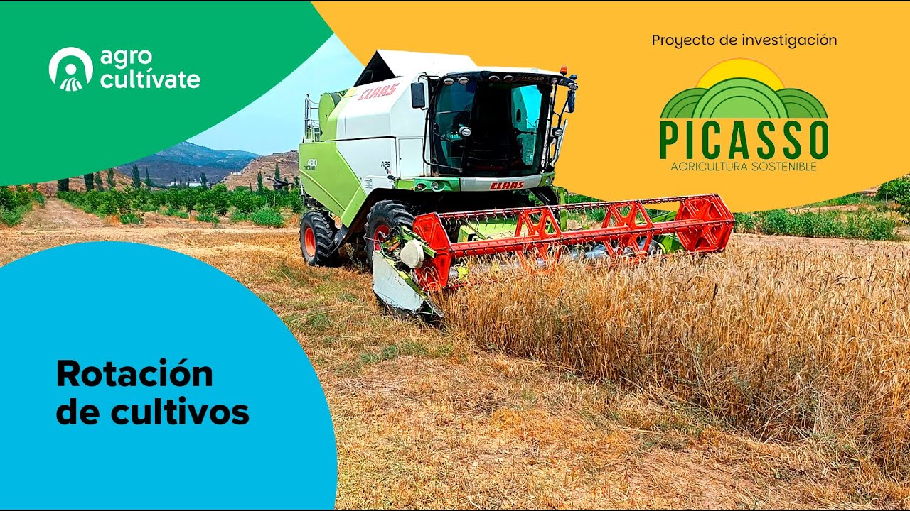 Agrocultívate - Proyecto Picasso (Rotación de cultivos)