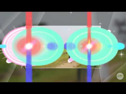 Chuyên mục giới thiệu sách hay: Ngồi khóc trên cây