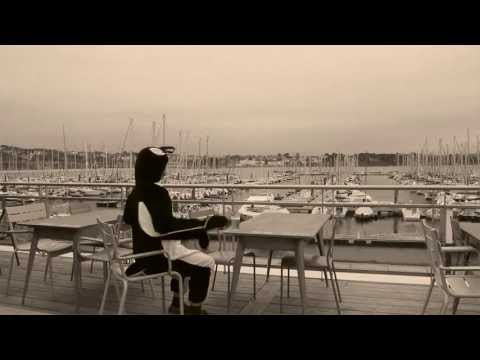 Catch the penguin if you can !